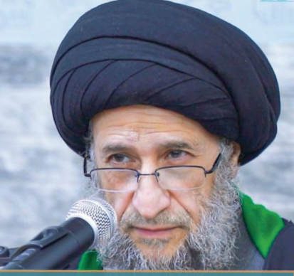 السيد احمد الحكيم